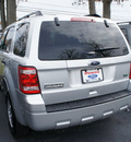 ford escape 2012 silver suv xlt flex fuel 6 cylinders all whee drive automatic 08753