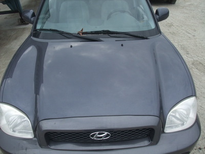 hyundai  santa fe