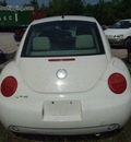 vw beetle