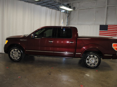 ford f 150 2009 red platinum flex fuel 8 cylinders 2 wheel drive automatic with overdrive 76108