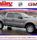 ford f 150 2011 gray xlt gasoline 6 cylinders 4 wheel drive automatic 55124