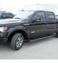 ford f 150 2012 black fx2 gasoline 6 cylinders 2 wheel drive automatic 77388