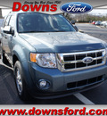 ford escape 2012 blue suv xlt flex fuel 6 cylinders all whee drive automatic 08753