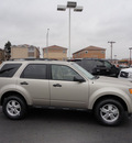 ford escape 2012 gold suv xlt gasoline 4 cylinders front wheel drive automatic with overdrive 60546