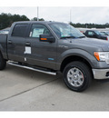 ford f 150 2012 gray xlt gasoline 6 cylinders 4 wheel drive automatic 77388