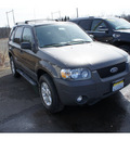 ford escape 2007 gray suv xlt gasoline 6 cylinders all whee drive automatic with overdrive 08902