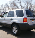 ford escape 2007 silver metallic suv xlt gasoline 6 cylinders all whee drive automatic 80911