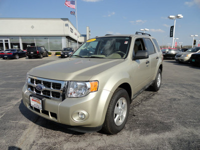 ford escape 2011 gold suv xlt gasoline 4 cylinders front wheel drive automatic 60443