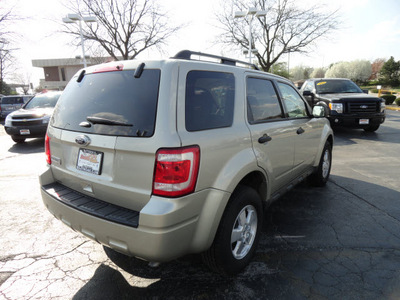 ford escape 2011 gold suv xlt gasoline 4 cylinders front wheel drive automatic 60443