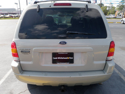 ford escape 2004 gold suv limited gasoline 6 cylinders front wheel drive automatic 32401
