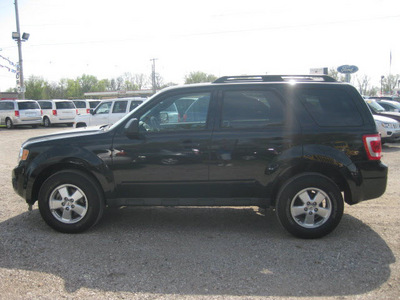 ford escape 2011 black suv xlt flex fuel 6 cylinders all whee drive automatic 62863