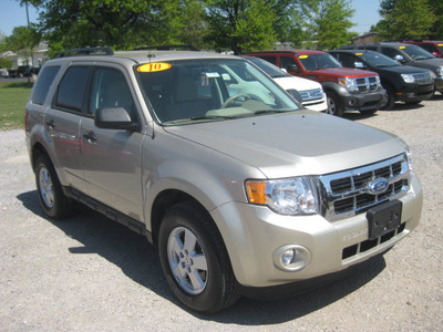 ford escape 2010 gold suv xlt gasoline 4 cylinders all whee drive automatic 62863