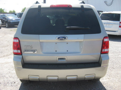 ford escape 2010 gold suv xlt gasoline 4 cylinders all whee drive automatic 62863