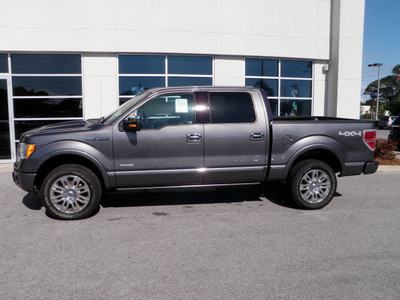 ford f 150 2012 gray platinum gasoline 6 cylinders 4 wheel drive automatic with overdrive 32401
