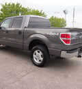 ford f 150 2011 gray xlt flex fuel 8 cylinders 4 wheel drive automatic with overdrive 46168
