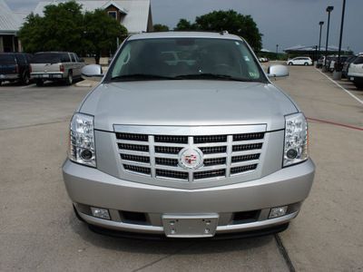 cadillac escalade 2010 silver suv flex fuel 8 cylinders all whee drive automatic 76087