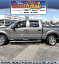 ford f 150 2010 dk  gray xlt flex fuel 8 cylinders 2 wheel drive automatic 60443