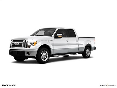 ford f 150 2010 flex fuel 8 cylinders 2 wheel drive 6 speed automatic 77388