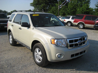 ford escape 2009 beige clearcoat suv xlt gasoline 4 cylinders front wheel drive automatic 62863