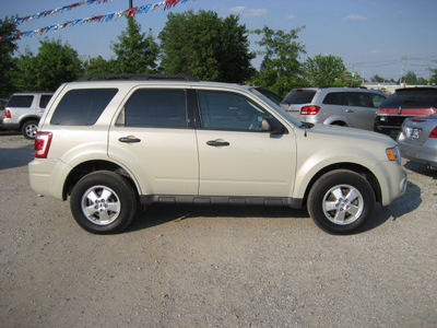 ford escape 2009 beige clearcoat suv xlt gasoline 4 cylinders front wheel drive automatic 62863