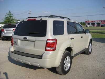 ford escape 2009 beige clearcoat suv xlt gasoline 4 cylinders front wheel drive automatic 62863