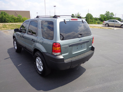 ford escape 2006 suv gasoline 6 cylinders all whee drive 4 speed automatic 45342