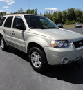 ford escape 2005 gold suv limited gasoline 6 cylinders all whee drive automatic 45344
