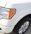 ford f 150 2010 white pickup truck platinum flex fuel 8 cylinders 4 wheel drive automatic 77388