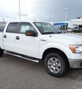 ford f 150 2012 white flex fuel 8 cylinders 4 wheel drive automatic 77388