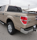 ford f 150 2012 beige xlt gasoline 6 cylinders 4 wheel drive automatic 37087