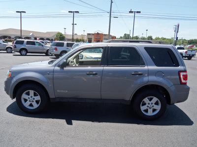 ford escape hybrid 2008 gray suv hybrid 4 cylinders all whee drive automatic 37087