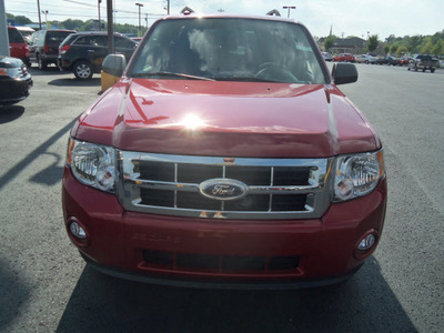 ford escape 2012 red suv xlt gasoline 4 cylinders front wheel drive automatic 37087