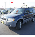 ford escape 2002 blue suv xlt choice gasoline 6 cylinders front wheel drive automatic 78550