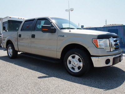 ford f 150 2010 gold xlt flex fuel 8 cylinders 2 wheel drive 6 speed automatic 77532
