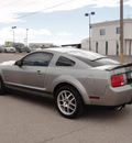 ford shelby gt500 2009 gray coupe gasoline 8 cylinders rear wheel drive standard 79936