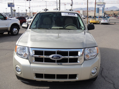 ford escape 2010 gold suv xlt gasoline 4 cylinders front wheel drive automatic 79936