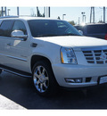 cadillac escalade 2011 white suv luxury flex fuel 8 cylinders all whee drive automatic 77074