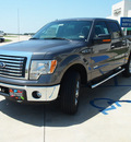 ford f 150 2012 gray xlt gasoline 6 cylinders 4 wheel drive automatic 76230