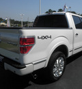 ford f 150 2010 white platinum flex fuel 8 cylinders 4 wheel drive automatic with overdrive 34474