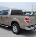 ford f 150 2012 beige xlt flex fuel 8 cylinders 2 wheel drive automatic 77074