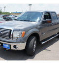 ford f 150 2011 gray xlt gasoline 6 cylinders 4 wheel drive automatic 78539