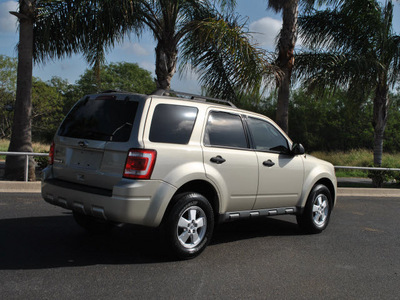 ford escape 2010 gold suv xlt gasoline 4 cylinders all whee drive automatic 78550