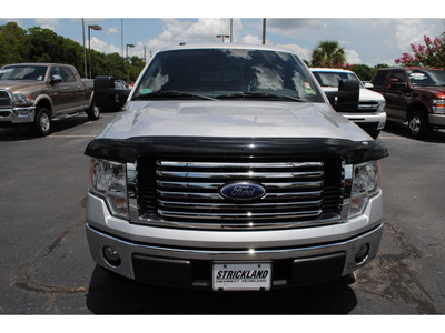 ford f 150 2010 silver flex fuel 8 cylinders 2 wheel drive automatic with overdrive 77581