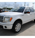 ford f 150 2010 white plat flex fuel 8 cylinders 4 wheel drive automatic with overdrive 77539