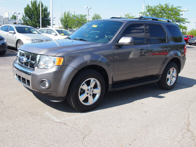 ford escape 2010 gray suv limited flex fuel 6 cylinders all whee drive 6 speed automatic 46168