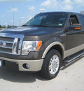 ford f 150 2009 brown with adobe styleside flex fuel 8 cylinders 2 wheel drive automatic 77578