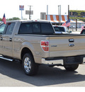 ford f 150 2011 brown xlt gasoline 6 cylinders 2 wheel drive automatic 76801