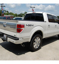 ford f 150 2010 white platinum flex fuel 8 cylinders 4 wheel drive automatic with overdrive 77706