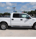 ford f 150 2012 white xlt gasoline 6 cylinders 2 wheel drive automatic with overdrive 77575