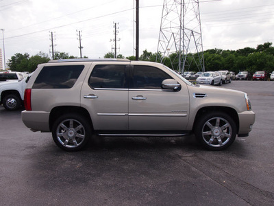 cadillac escalade 2010 gold suv luxury flex fuel 8 cylinders all whee drive shiftable automatic 77074